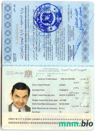 Syria paszport przykład w formacie PSD, w pełni edytowalne